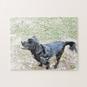 Smokey Wacht Om Een Wandeling Te Maken Puzzel