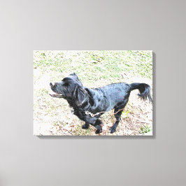 Smokey wacht op een loopje canvas afdruk