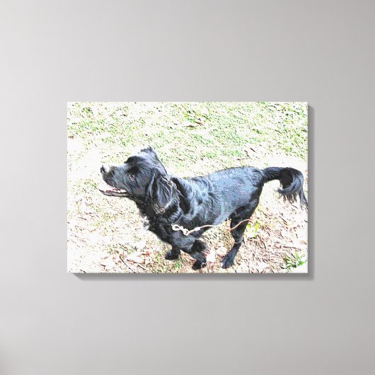 Smokey wacht op een loopje canvas afdruk (Voorkant)