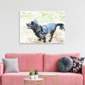 Smokey wacht op een loopje canvas afdruk (Insitu (Woonkamer))