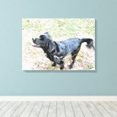 Smokey wacht op een loopje canvas afdruk (Insitu (Houten vloer))