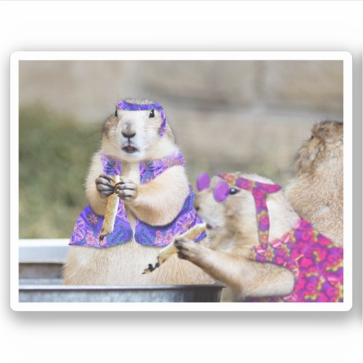 Smokin' Prairie Dog Hippies Sticker (Voorkant)
