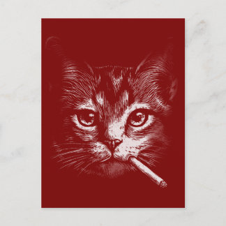 Smoking Cat Funny Briefkaart