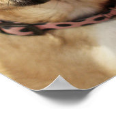 smokkel poster (Hoek)