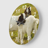 Smokkeldieren in de schelpdierentuin grote klok (Hoek)