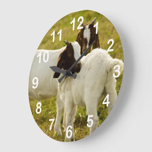 Smokkeldieren in de schelpdierentuin grote klok (Hoek)