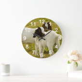 Smokkeldieren in de schelpdierentuin grote klok (Huis)