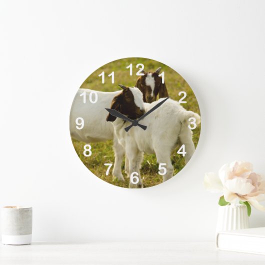 Smokkeldieren in de schelpdierentuin grote klok (Huis)