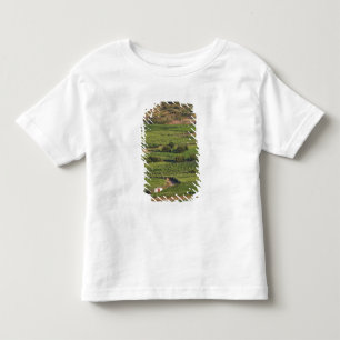 Smokvica wijngaarden op Korcula vanuit de Toreta Kinder Shirts