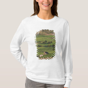 Smokvica wijngaarden op Korcula vanuit de Toreta T-shirt