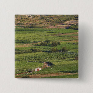 Smokvica wijngaarden op Korcula vanuit de Toreta Vierkante Button 5,1 Cm