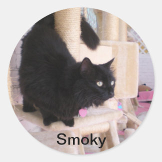 Smoky - Black Cats REGEL! Sticker