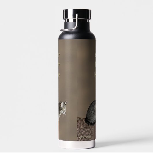 Smoky Gray Tabby Cat Waterfles (Rechts)