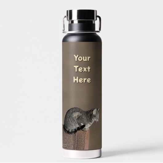 Smoky Gray Tabby Cat Waterfles (Achterkant)