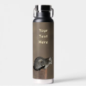 Smoky Gray Tabby Cat Waterfles (Voorkant)