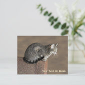 Smoky Grey Tabby Kat Briefkaart (Staand voorkant)