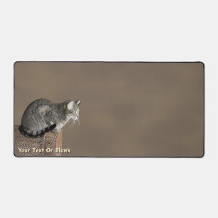 Smoky Grey Tabby Kat Bureaumat