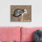 Smoky Grey Tabby Kat Canvas Afdruk (Insitu (Woonkamer))