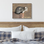 Smoky Grey Tabby Kat Canvas Afdruk (Insitu (Slaapkamer))