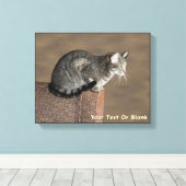Smoky Grey Tabby Kat Canvas Afdruk (Insitu (Houten vloer))