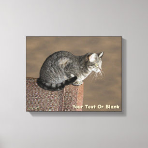 Smoky Grey Tabby Kat Canvas Afdruk