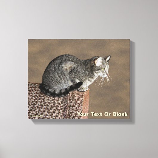 Smoky Grey Tabby Kat Canvas Afdruk (Voorkant)