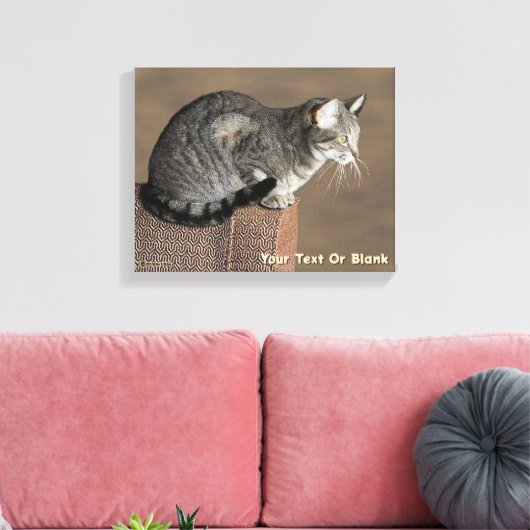 Smoky Grey Tabby Kat Canvas Afdruk (Insitu (Woonkamer))