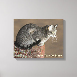 Smoky Grey Tabby Kat Canvas Afdruk