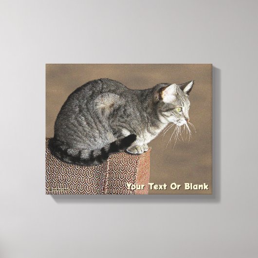 Smoky Grey Tabby Kat Canvas Afdruk (Voorkant)