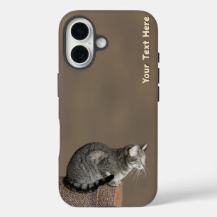 Smoky Grey Tabby Kat iPhone 16 Hoesje