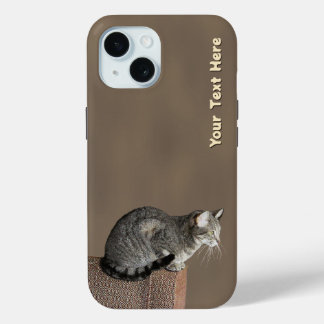 Smoky Grey Tabby Kat iPhone 15 Case