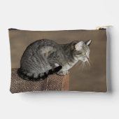 Smoky Grey Tabby Kat Etui (Achterkant)