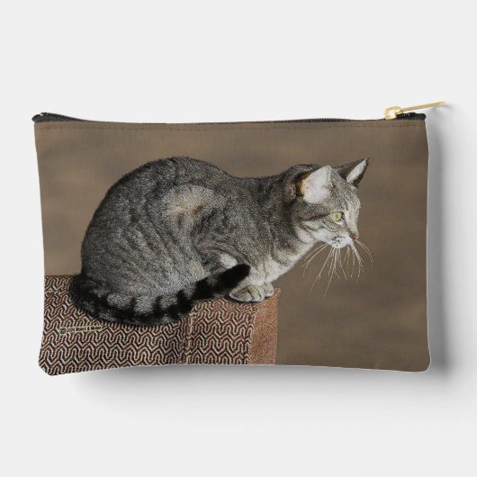 Smoky Grey Tabby Kat Etui (Achterkant)