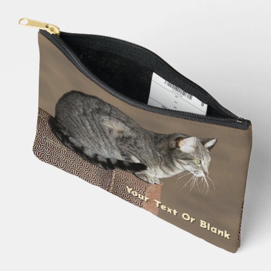 Smoky Grey Tabby Kat Etui (Open)