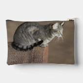 Smoky Grey Tabby Kat Etui (Achterkant)