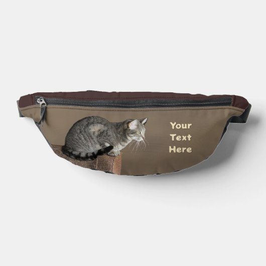 Smoky Grey Tabby Kat Heuptasje (Liggend)