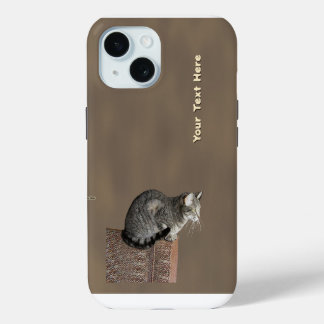 Smoky Grey Tabby Kat iPhone 15 Case