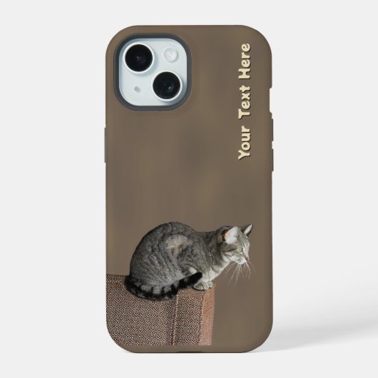 Smoky Grey Tabby Kat iPhone 15 Case (Achterkant)
