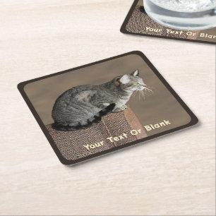 Smoky Grey Tabby Kat Kartonnen Onderzetters