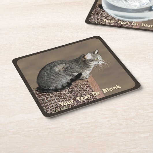 Smoky Grey Tabby Kat Kartonnen Onderzetters (Schuin)