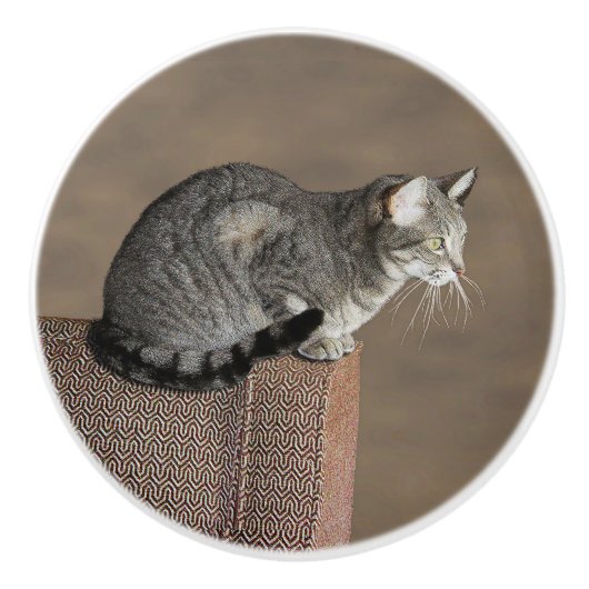Smoky Grey Tabby Kat Keramische Knop (Voorkant)