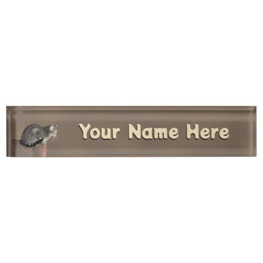 Smoky Grey Tabby Kat Naambordje (Voorkant)