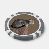 Smoky Grey Tabby Kat Poker Chips (Enkel)