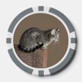 Smoky Grey Tabby Kat Poker Chips (Voorkant)