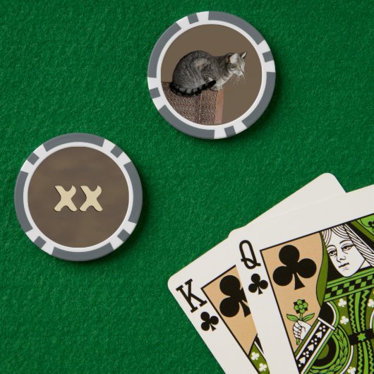 Smoky Grey Tabby Kat Poker Chips (Pokertafel (Dubbel))