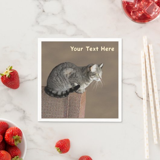 Smoky Grey Tabby Kat Servet (Insitu)