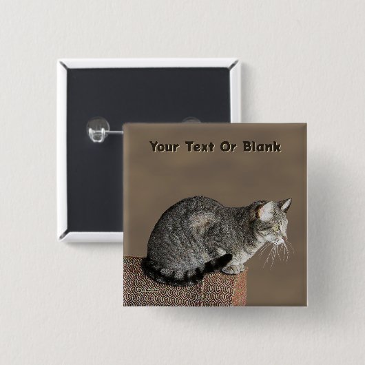 Smoky Grey Tabby Kat Vierkante Button 5,1 Cm (Voorkant /achterkant)