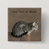 Smoky Grey Tabby Kat Vierkante Button 5,1 Cm (Voorkant)