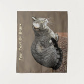 Smoky Grey Tabby Kat Wandkleed (Voorkant)