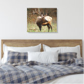 Smoky Mountain Elk Canvas (Insitu (Slaapkamer))